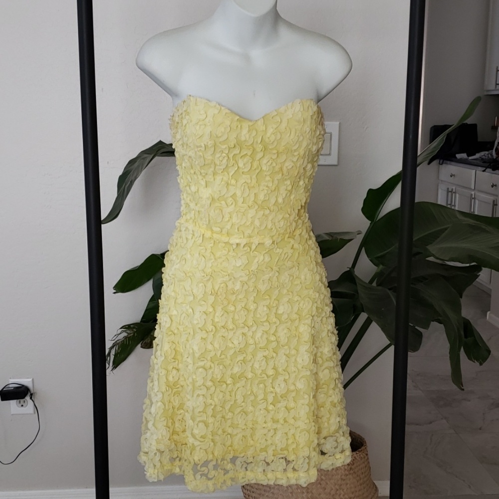 Skater dress